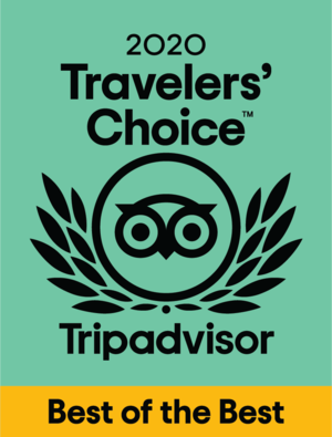 TripAdvisor 2020 Traveler's Choice - Best of the best